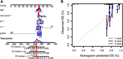 A novel necroptosis-related lncRNA based signature predicts prognosis and response to treatment in cervical cancer